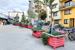 landscape-architecture-urban-transformation