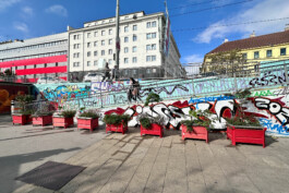 landscape-architecture-urban-transformation