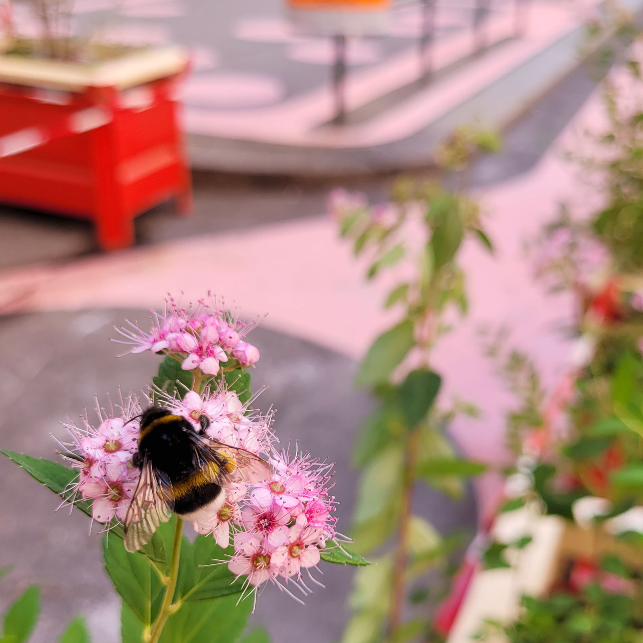  landscape-architecture-urban-transformation