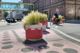  landscape-architecture-urban-transformation
